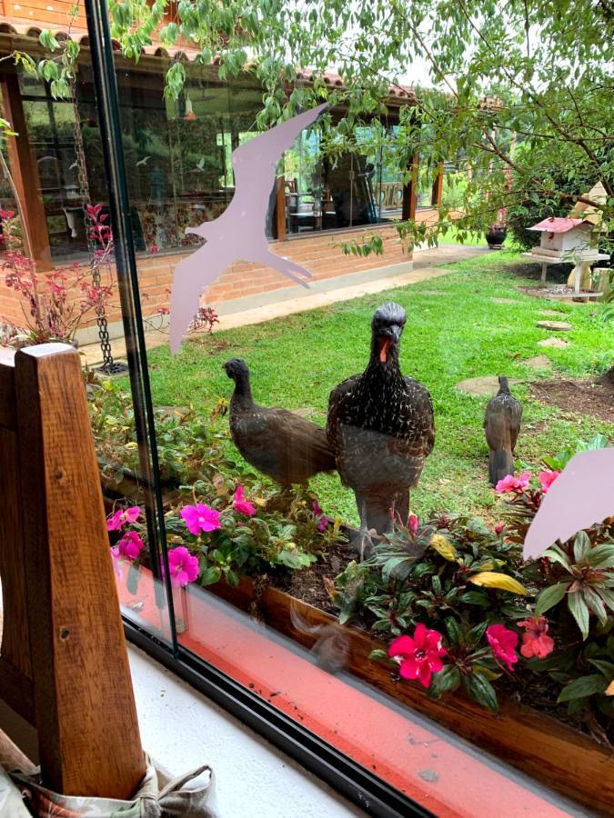 Aconchegante Casa Em Monte Verde Monte Verde  Eksteriør bilde