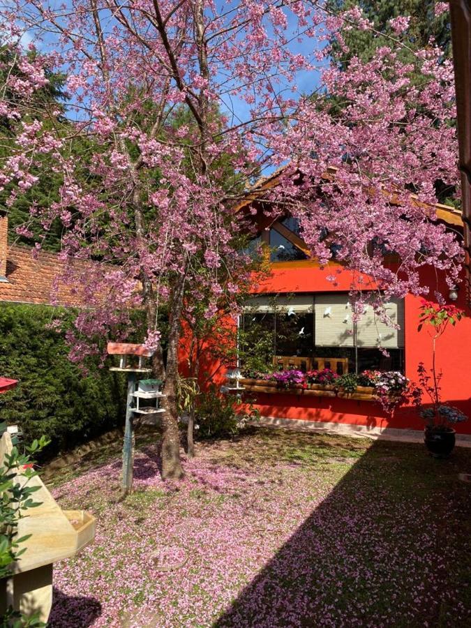 Aconchegante Casa Em Monte Verde Monte Verde  Eksteriør bilde