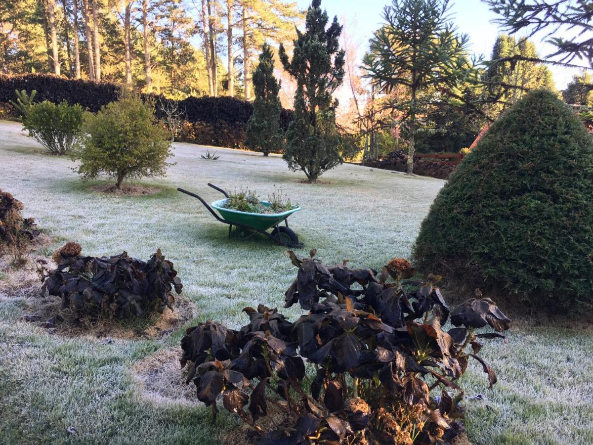 Aconchegante Casa Em Monte Verde Monte Verde  Eksteriør bilde